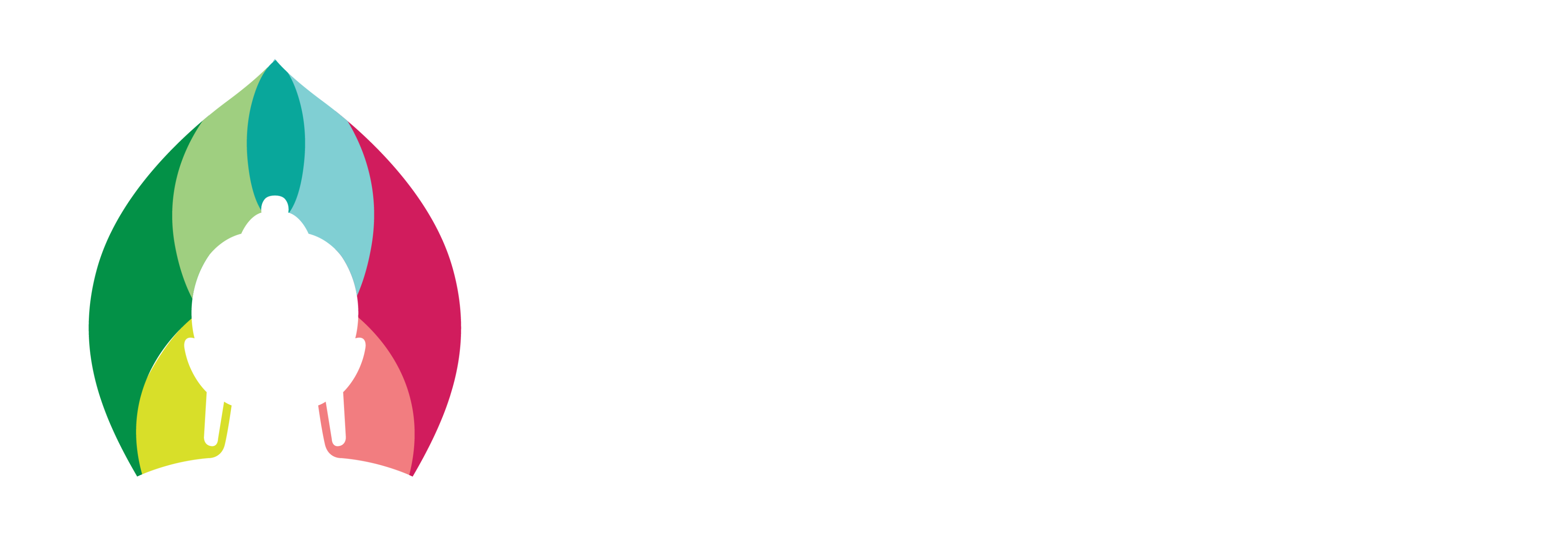 Nalanda Logo